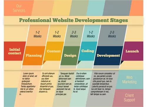 Website Design Infographic